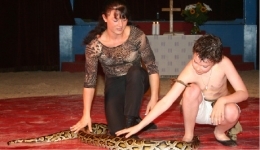 Schlange mit Tarzan-Steffi open